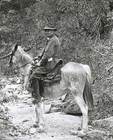 Henry Cowles: 1898