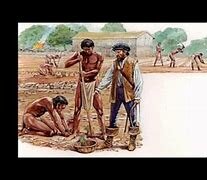 Se  establece  el sistema de  encomiendas.