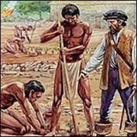 Se establece el sistema de encomiendas.