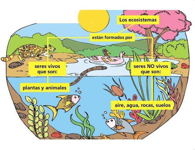 Arthur Tansley: 1935