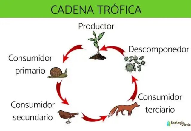 Raymond Linderman: 1942