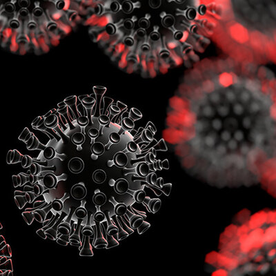 Timeline: Proceso del Covid-19