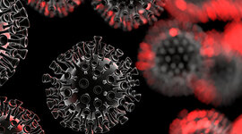 Timeline: Proceso del Covid-19