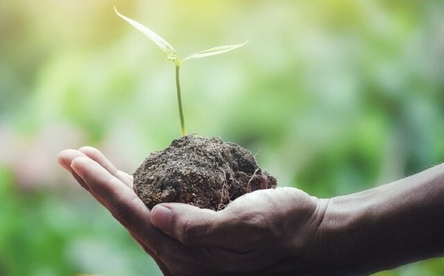 Hebert Andrewartha: 1961