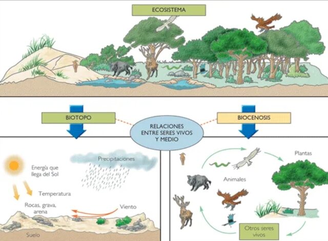 Ramón Margalef: 1974