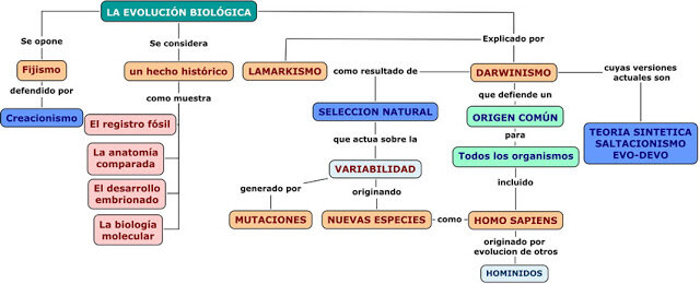 Origen de la Biología Molecular