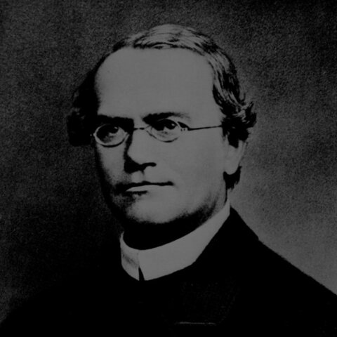 nacimiento de la genetica