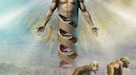 Timeline: EVOLUCION DE LAS ORGANIZACIONES