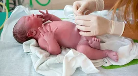 Timeline: vida como hija
