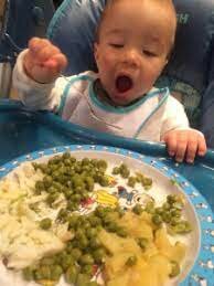 El meu primer menjar normal