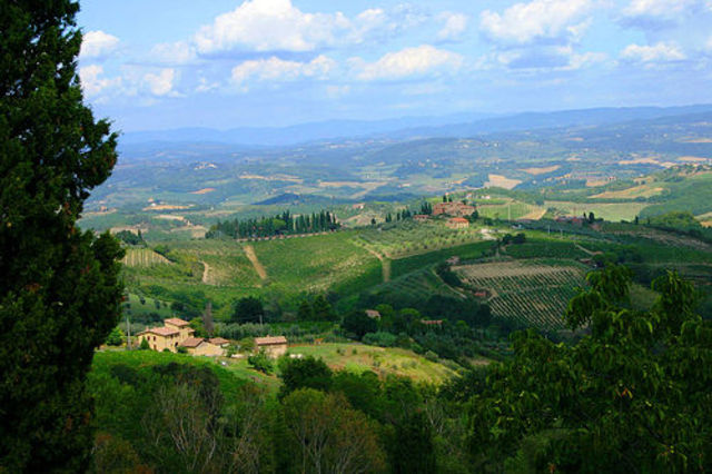 First dry steam geothermal plant