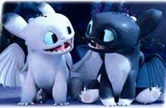 faix nous amics i el meu primer nv