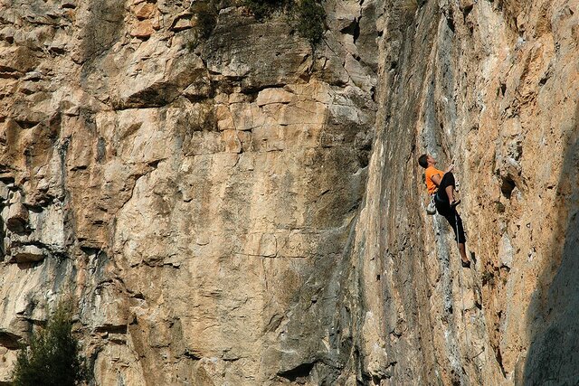 Dos peluts i un destí
