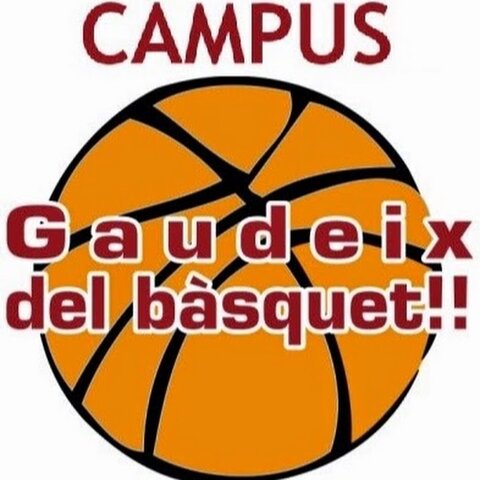 Vaig anar a fer un campus de basquet