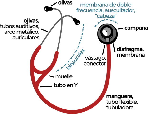 Creación del estetoscopio