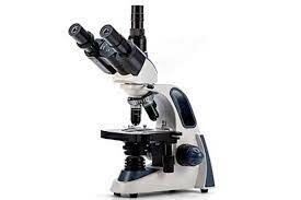 Descubrimiento del microscopio