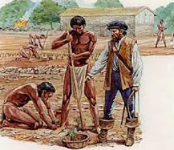 Sistemas de Encomiendas