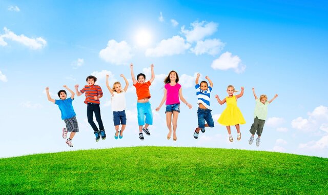 El Plan de Organización