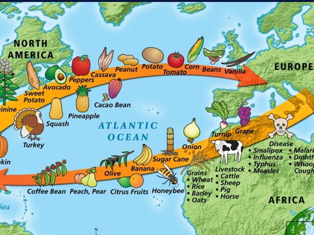 The Columbian Exchange and the Great Dying