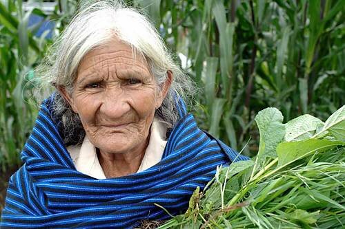 "La cocina tradicional Mexicana : cultura comunitaria, ancestral y viva. El paradigam de Michoacan."