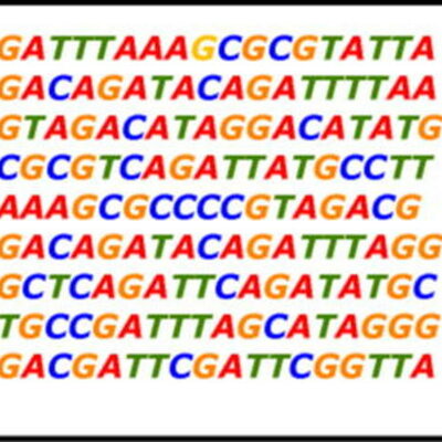 Timeline: Los principales descubrimientos del ADN