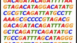Timeline: Los principales descubrimientos del ADN