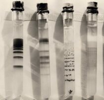 JOHANN HEINRICH SCHULZE