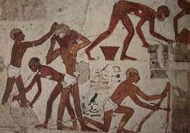 Protección de Riesgos