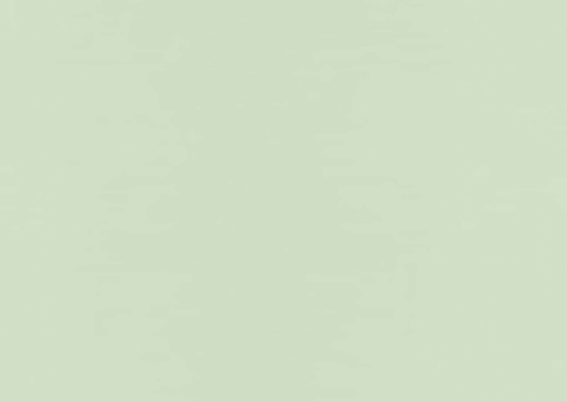 Hamilton’s financial plan