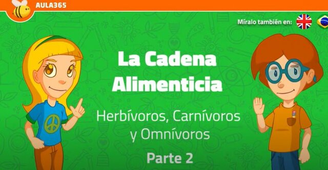La cadena alimenticia. Herbívoros, carnívoros y omnívoros.