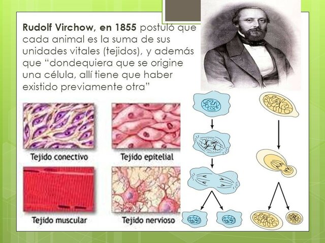 R. Virchow