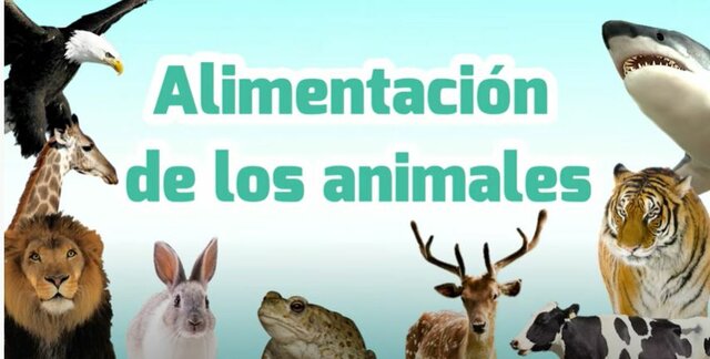 Alimentación de los animales