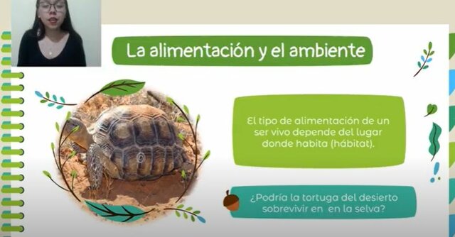 La alimentación y el ambiente.