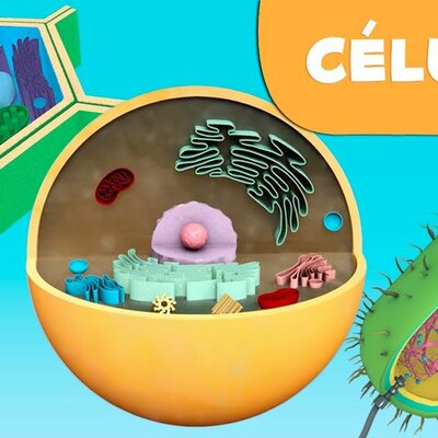 Timeline: LA CÉLULA