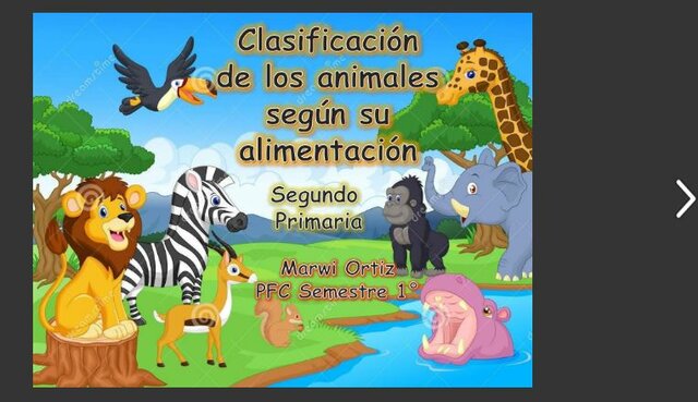 Clasificación de los animales según su alimentación