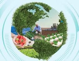 Distribución y Marketing Agrario