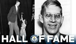Tallest man ever