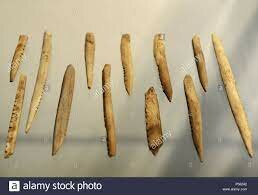 Cultura Meglemosiana