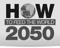 Expert Forum: How to Feed the World in 2050