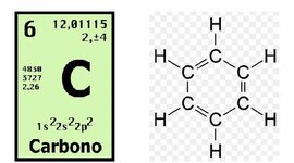 Timeline: Química Orgánica