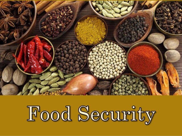 Video: What is Food Security?