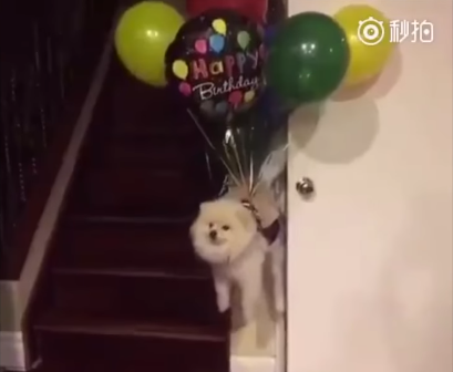 Dow Jones returns to 1929 Peak