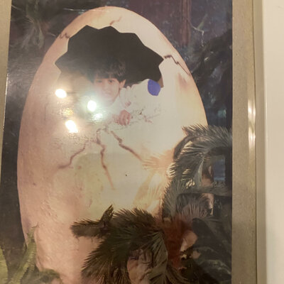 Timeline: my autobiography