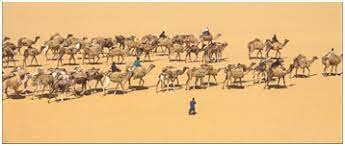 arab and berber traders travel across the sahra.