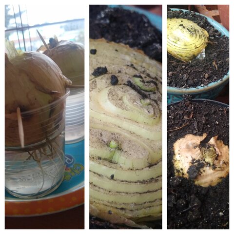 Algunos días después no hay muchos cambios