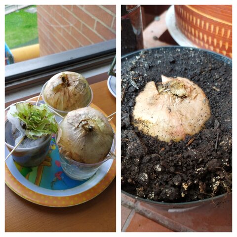 Siguen sin haber cambios