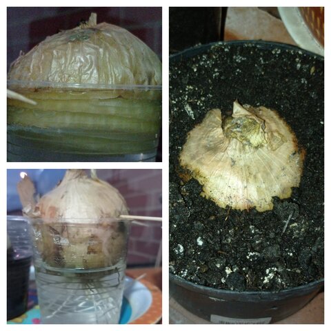 Ahora si hay algunos cambios