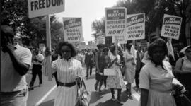 Timeline: SEGREGATION