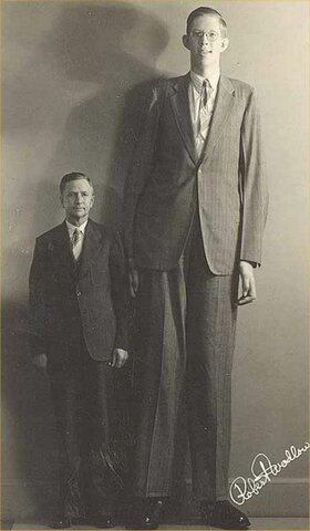 Tallest man ever
