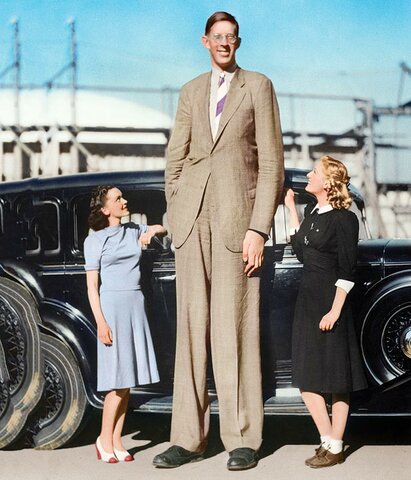 Tallest man ever